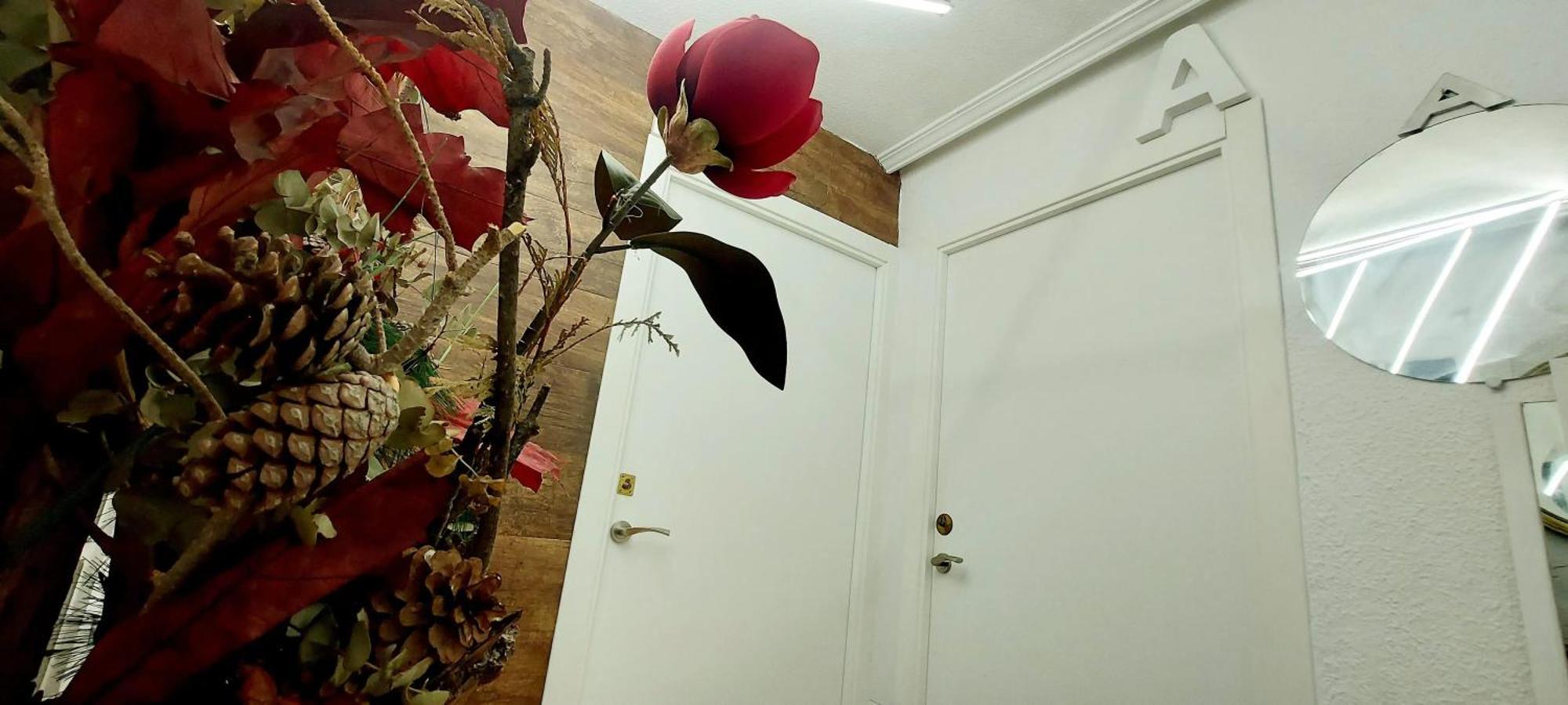 Modern Apartment In Alacant 60M² Wheelchair Accessible Alicante Eksteriør bilde
